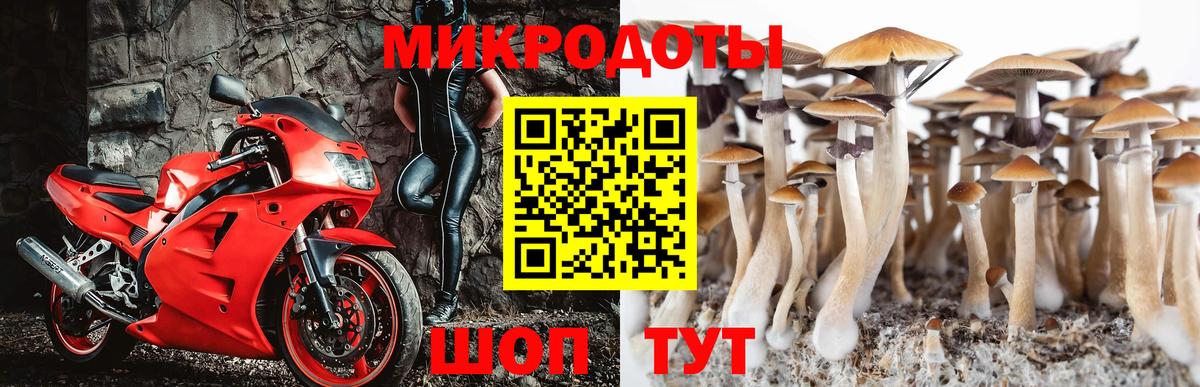 Псилоцибиновые грибы MAGIC MUSHROOMS Ликино-Дулёво